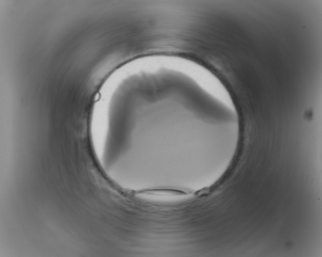X0000113141459200910161144