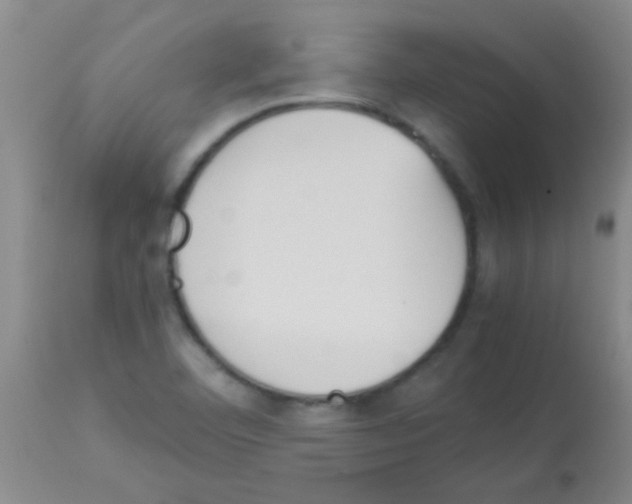 X0000113141460200910161144