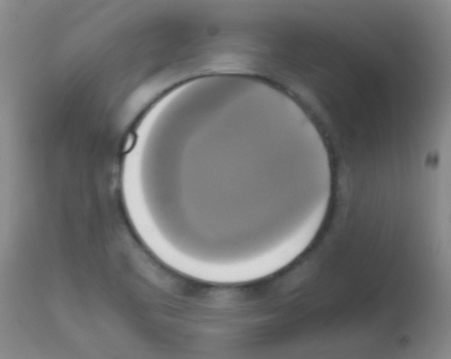 X0000113141461200910161144