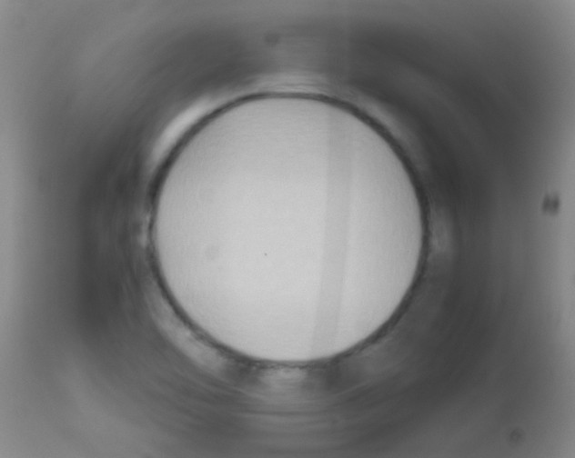 X0000113141462200910161144