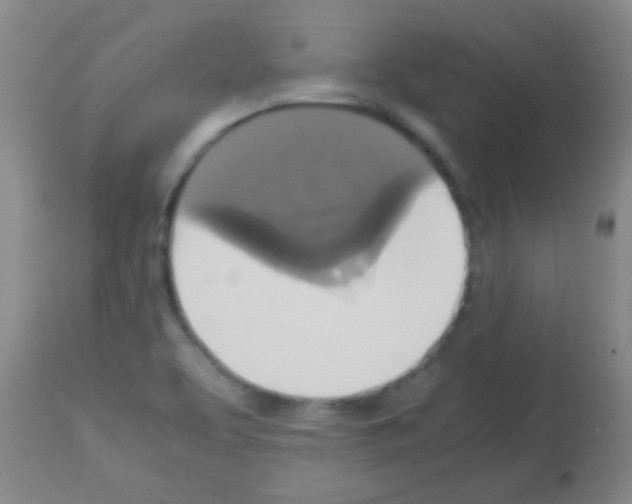 X0000113141463200910161144