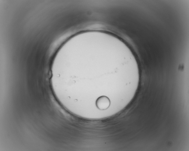 X0000113141464200910161144