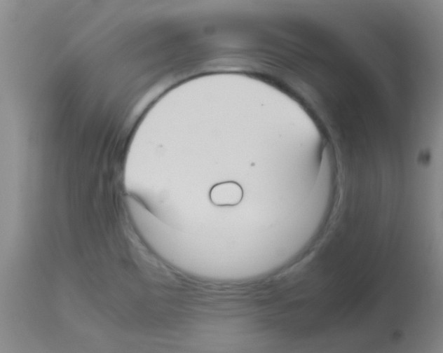 X0000113141465200910161144