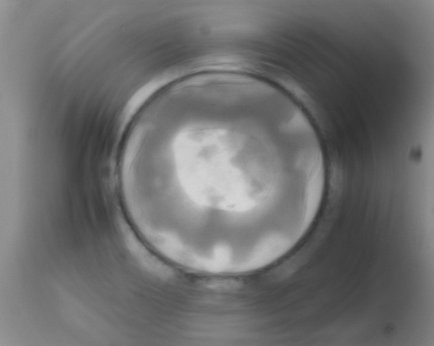 X0000113141466200910161144