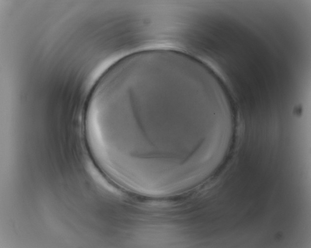 X0000113141468200910161144