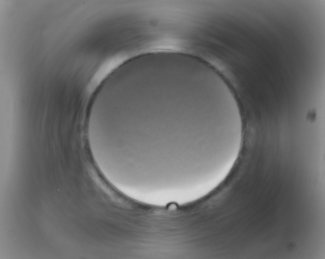 X0000113141469200910161144