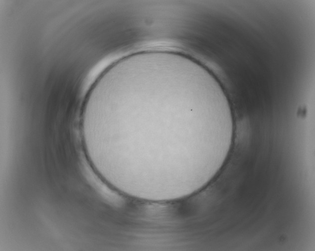 X0000113141470200910161144