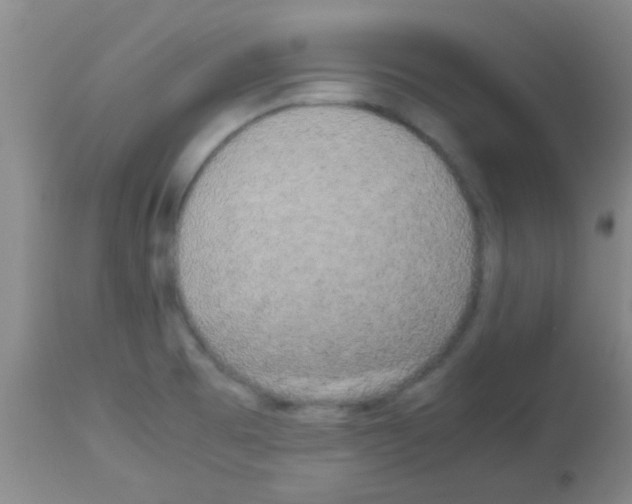 X0000113141473200910161144