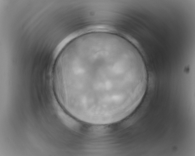 X0000113141474200910161144