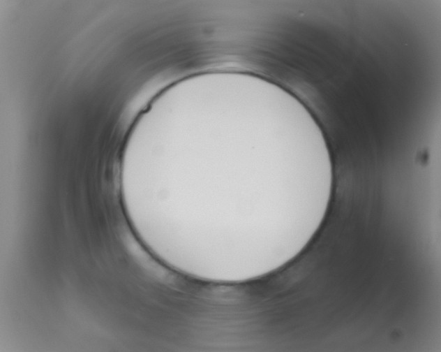 X0000113141476200910161144