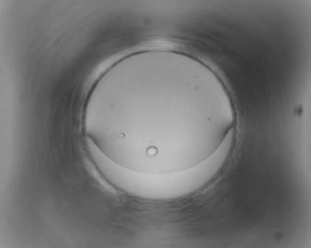 X0000113141477200910161144