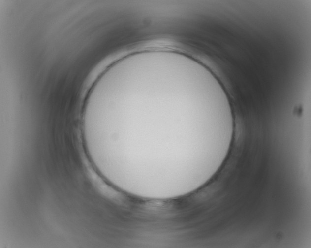 X0000113141478200910161144