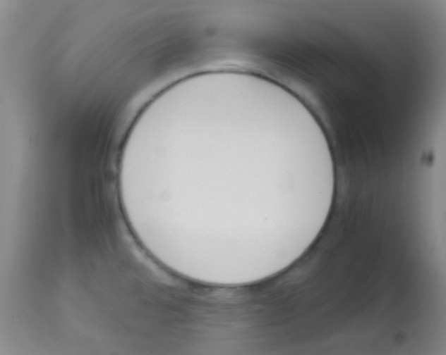 X0000113141480200910161144