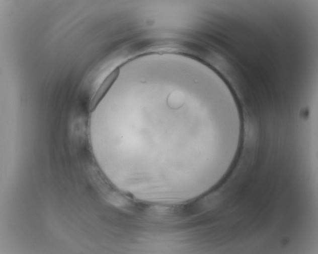 X0000113141481200910161144