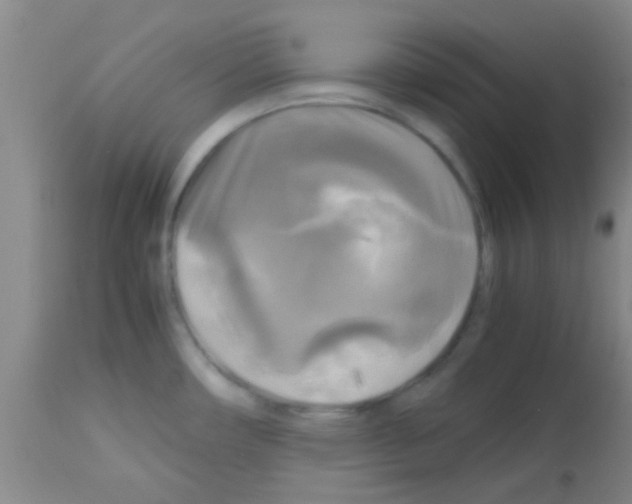 X0000113141482200910161144