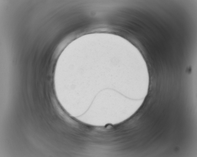 X0000113141483200910161144