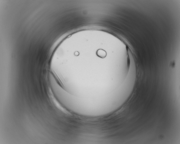 X0000113141484200910161144