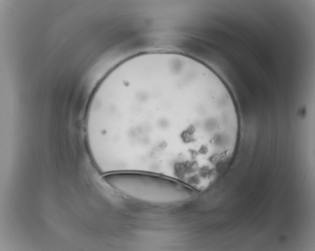 X0000113141485200910161144
