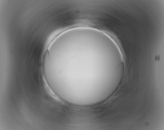 X0000113141488200910161144
