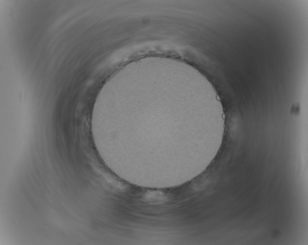 X0000113141489200910161143