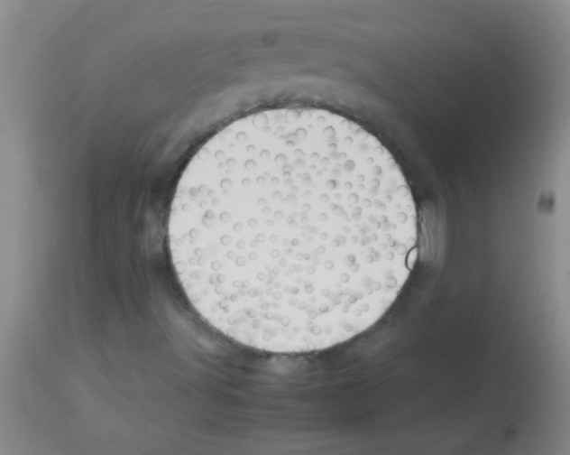 X0000113141491200910161143