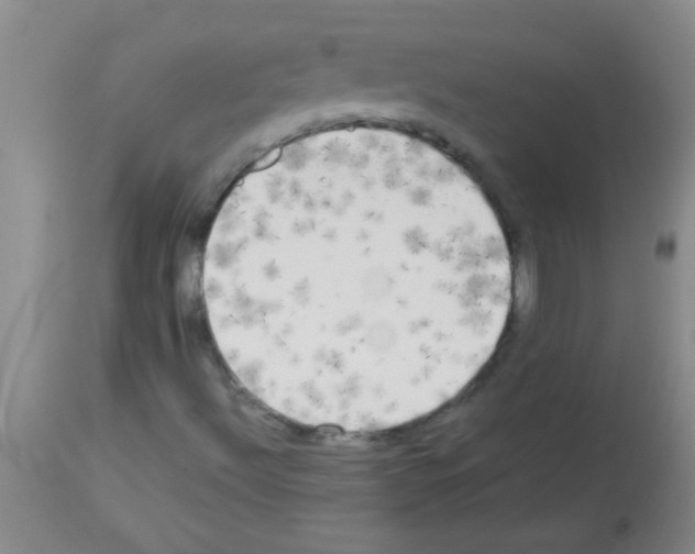X0000113141492200910161143