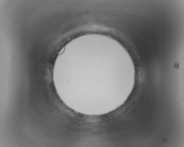 X0000113141493200910161143