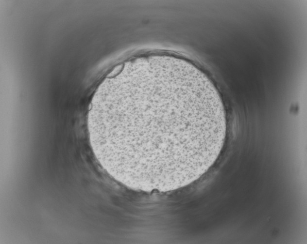 X0000113141494200910161143