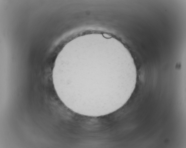 X0000113141495200910161143
