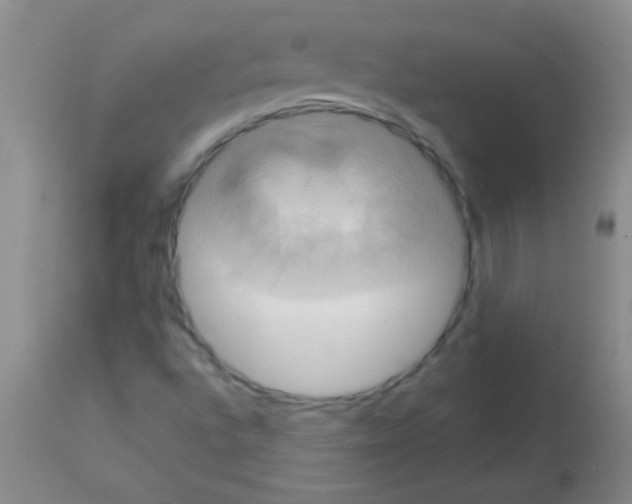 X0000113141496200910161143