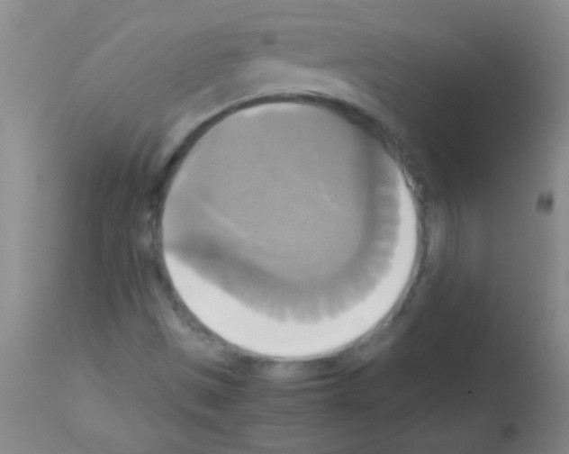 X0000113141497200910161144