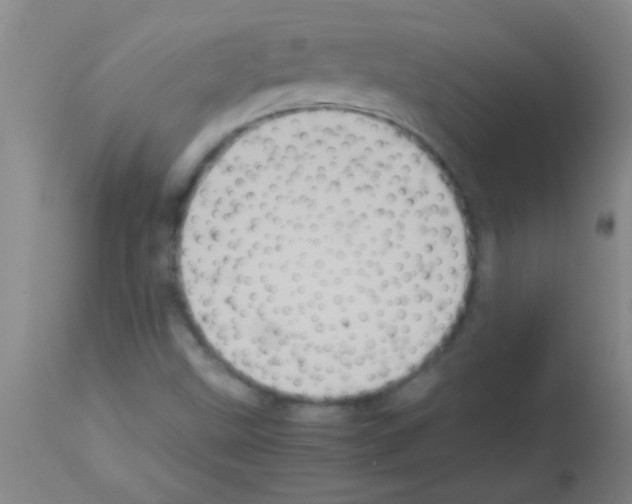 X0000113141499200910161144