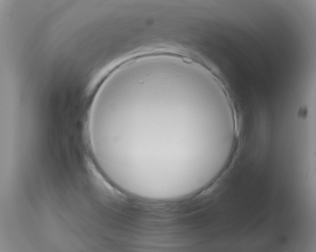 X0000113141500200910161144