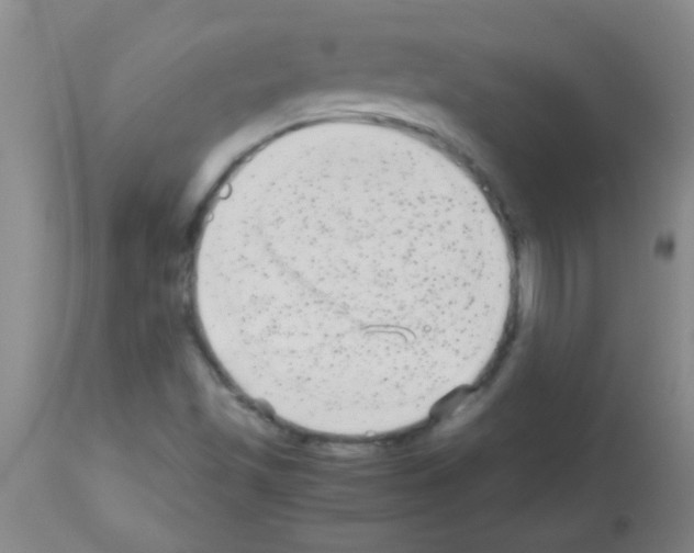 X0000113141501200910161144