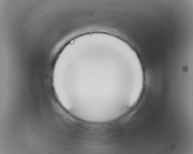 X0000113141502200910161144
