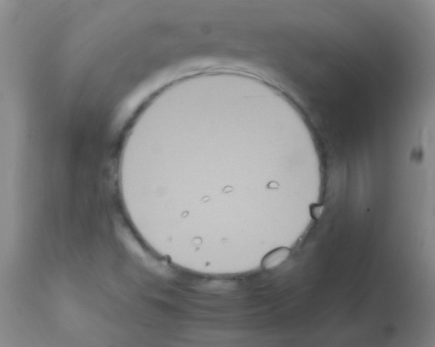 X0000113141503200910161144