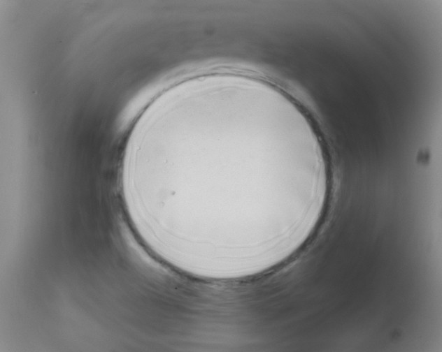 X0000113141504200910161144