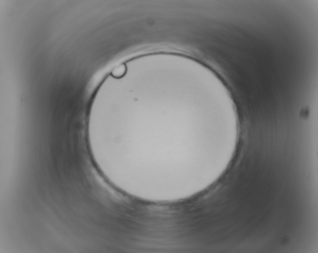X0000113141508200910161144