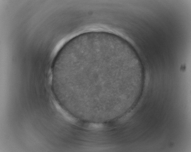 X0000113141509200910161144