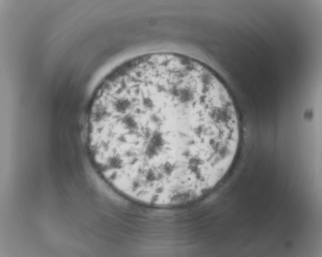 X0000113141510200910161144