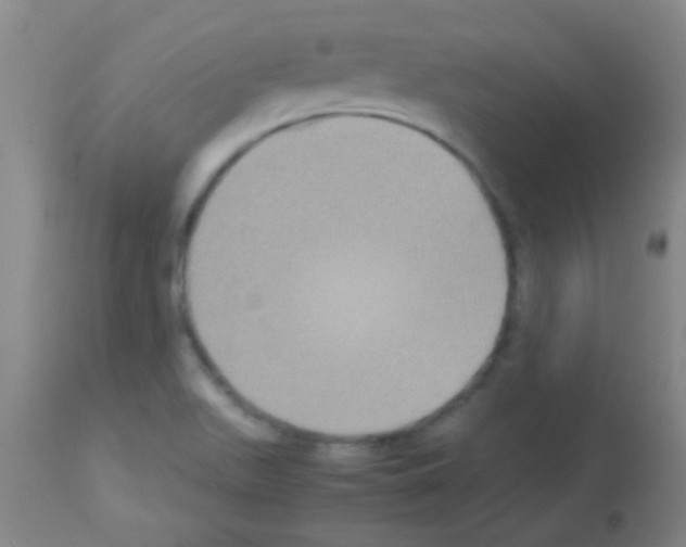 X0000113141511200910161144