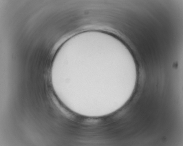 X0000113141513200910161144