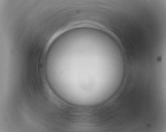 X0000113141514200910161144