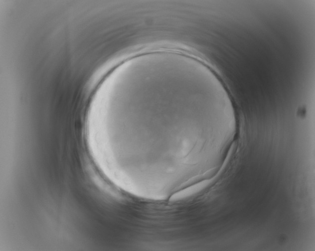 X0000113141515200910161144