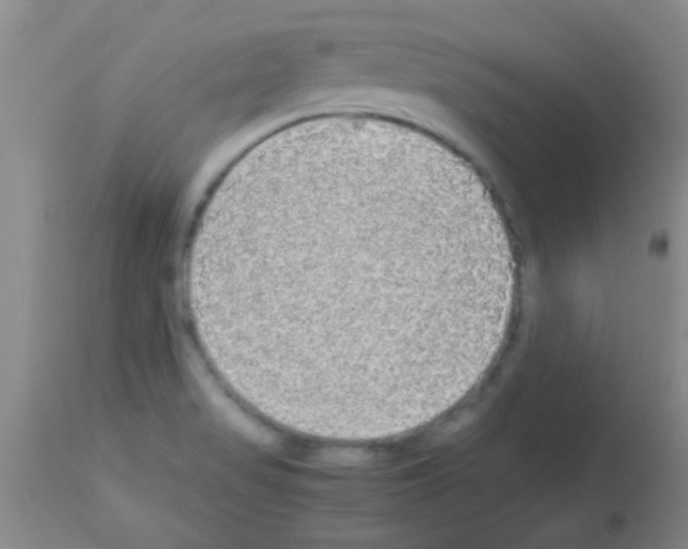 X0000113141517200910161144