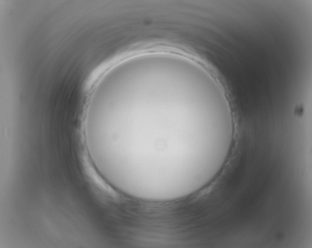 X0000113141518200910161144