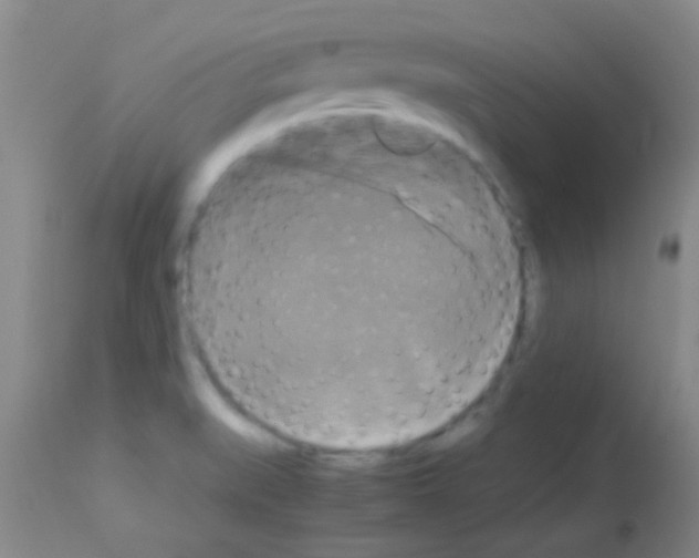 X0000113141519200910161144