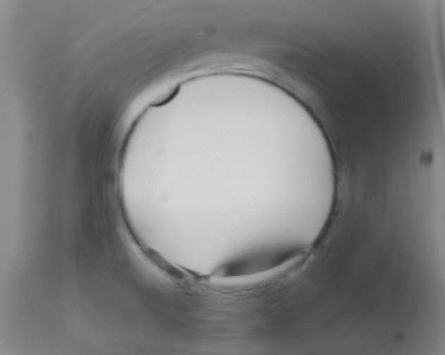 X0000113141520200910161144