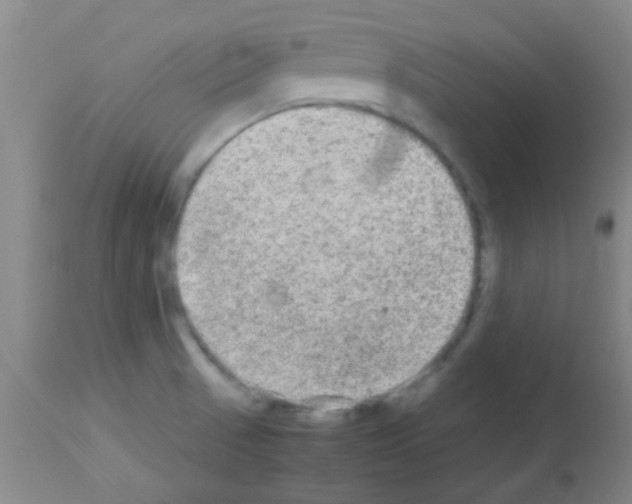 X0000113141521200910161144