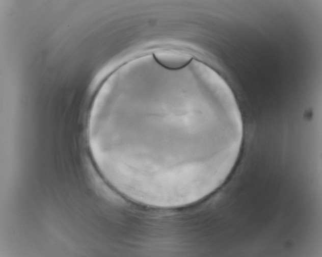 X0000113141522200910161144